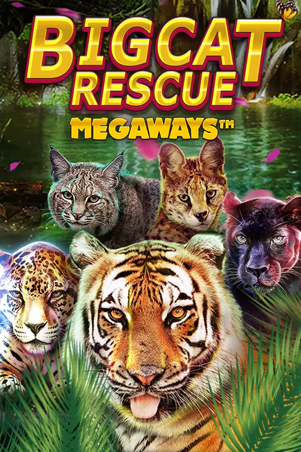Big Cat Rescue Megaways